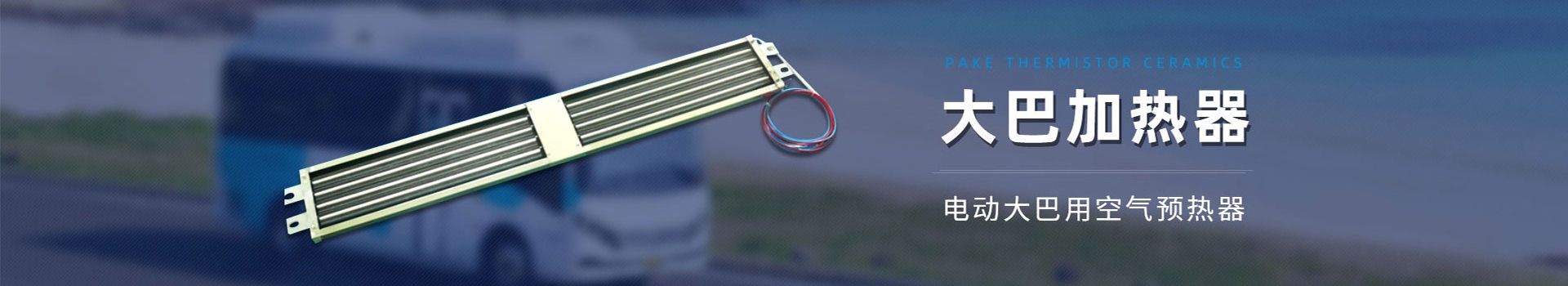 公司91看片成人免费